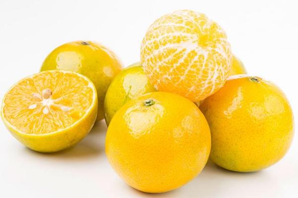 貢柑市場價格多少一斤 貢柑幾月成熟（什么時候上市）