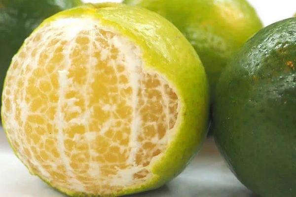 皇帝柑什么時候成熟（幾月上市） 皇帝柑的核能吃嗎