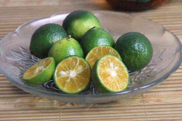 青金桔種植要求什么氣候條件 云南廣西可以種植青金桔嗎