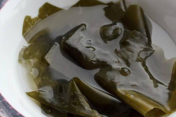 干海帶怎么處理（為什么要蒸） 干海帶怎么泡發（泡多久）