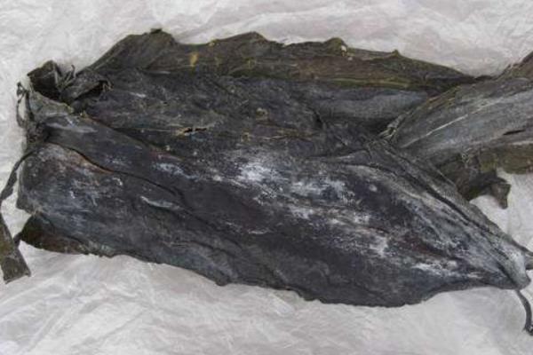 干海帶怎么處理（為什么要蒸） 干海帶怎么泡發（泡多久）