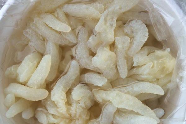 海蜇頭怎么保存 海蜇頭能放冰箱里保存嗎