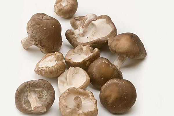 香菇保質期有多久 香菇有點苦可以吃嗎