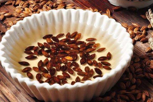 大麥茶隔夜能喝嗎 大麥茶晚上喝好嗎