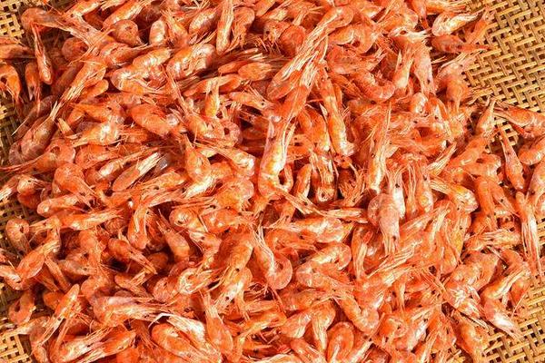 蝦皮和蝦米的區別是什么 蝦皮補鈣還是蝦米