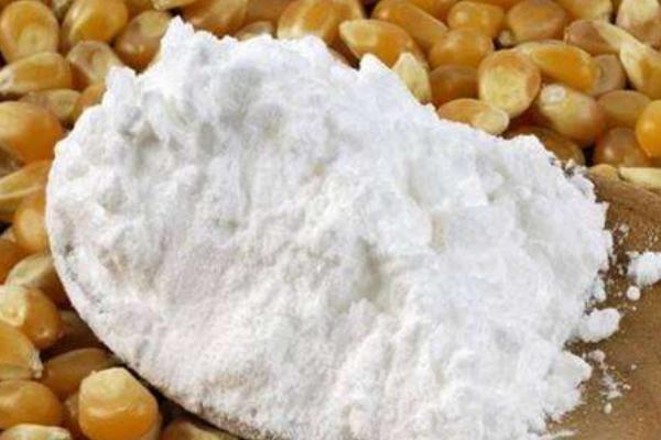 淀粉會使人發胖嗎 淀粉熱量高嗎