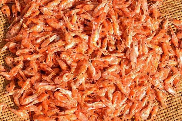 蝦米的功效與作用及禁忌 蝦米的營養價值