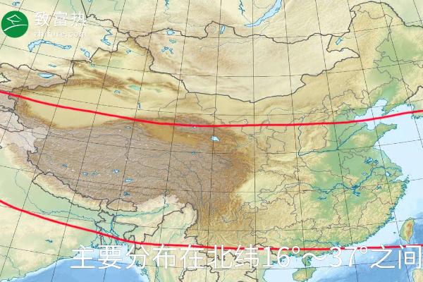 橘子的產(chǎn)地有哪些