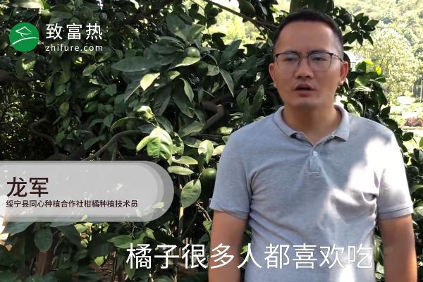 橘子苦是怎么回事 橘子有苦味了還能吃嗎