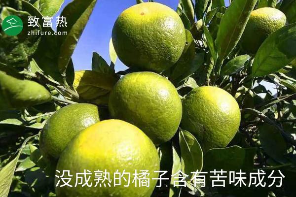 橘子苦是怎么回事 橘子有苦味了還能吃嗎