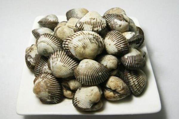 毛蚶市場價格多少錢一斤 毛蚶產地在哪里