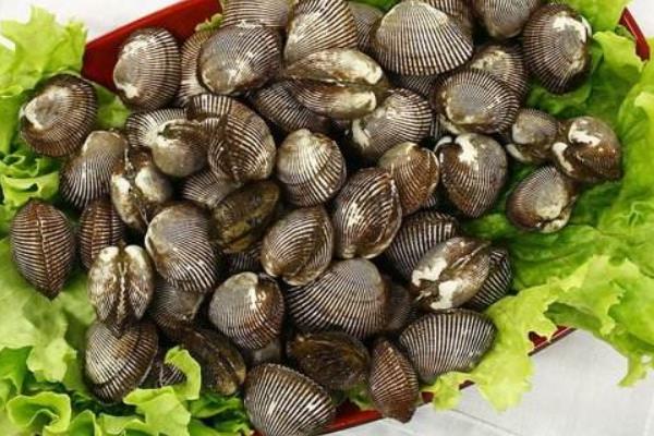 毛蚶市場價格多少錢一斤 毛蚶產地在哪里