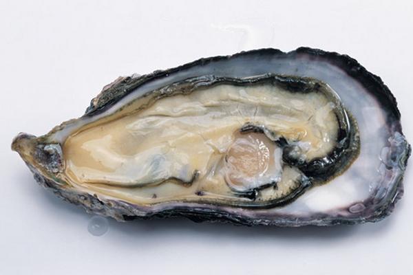 牡蠣市場價格多少錢一斤 牡蠣哪些部位不能吃