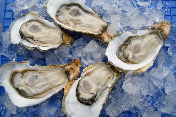 牡蠣市場價格多少錢一斤 牡蠣哪些部位不能吃