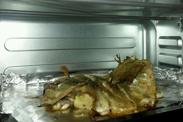 白斑狗魚好吃嗎 白斑狗魚能油炸嗎