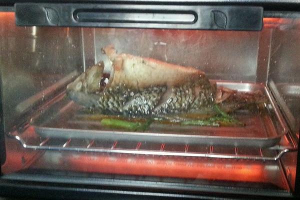 白斑狗魚好吃嗎 白斑狗魚能油炸嗎