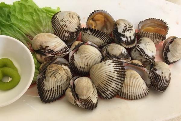 毛蚶哪里不能吃 女人為什么不能吃毛蚶