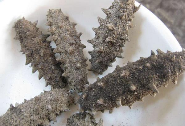 干刺參市場價格多少錢一斤 干刺參怎么泡發