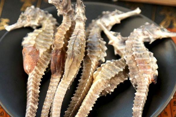 海馬養(yǎng)殖市場前景怎么樣 養(yǎng)殖海馬需要投入多少錢