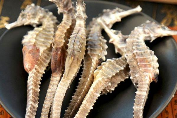 海馬是魚嗎 海馬是馬嗎 海馬吃什么