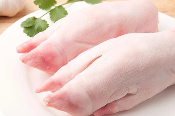 吃豬蹄有什么好處 豬蹄怎么做下奶最好