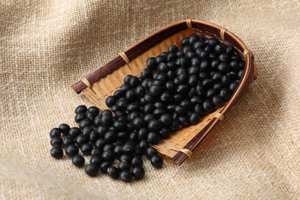 黑豆的功效與作用及禁忌 黑豆營養價值