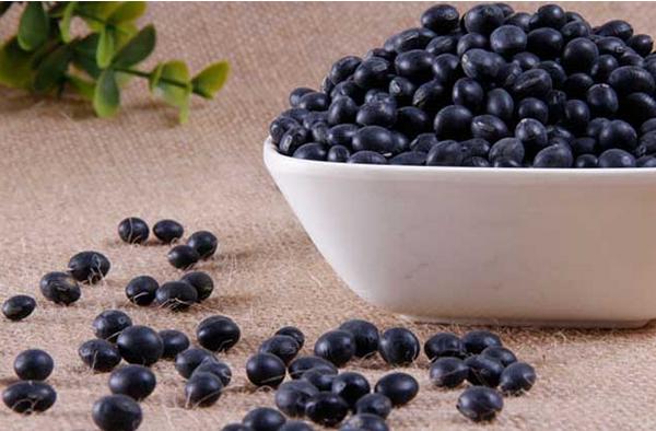 黑豆的功效與作用及禁忌 黑豆營養價值