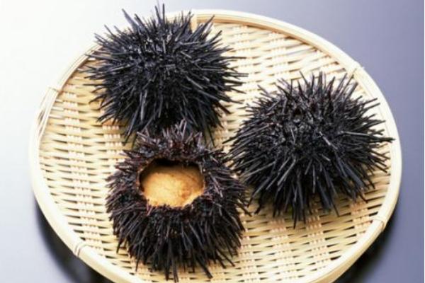 海膽刺身怎么吃 海膽怎么保存
