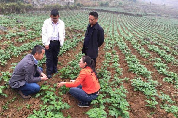 電視上的致富故事分享是真的嗎 為什么別人能賺錢的項目自己做就失敗