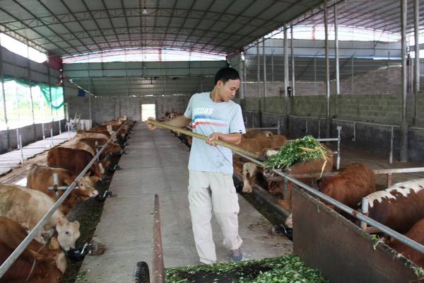 電視節(jié)目的致富技術(shù)有些是騙人 農(nóng)民想要致富應該怎么辦 趕緊來了解