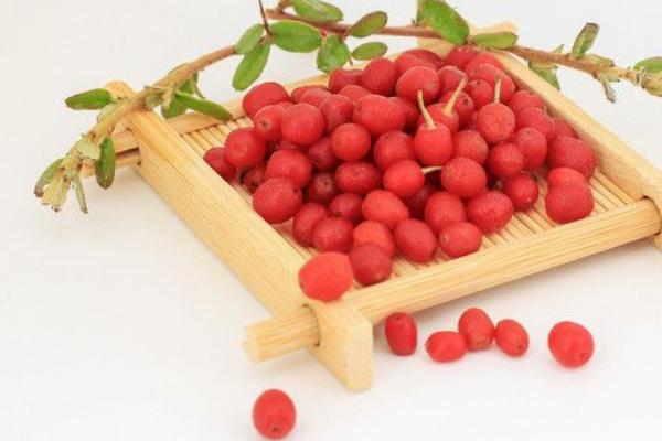 羊奶果市場價格多少錢一斤 羊奶果的功效與作用