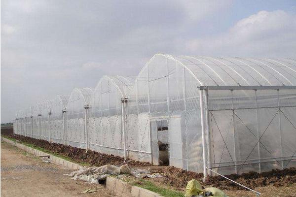 這三類“蔬菜大棚”將面臨拆除 如何區分違規違建的“蔬菜大棚”