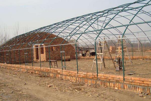 這三類“蔬菜大棚”將面臨拆除 如何區分違規違建的“蔬菜大棚”