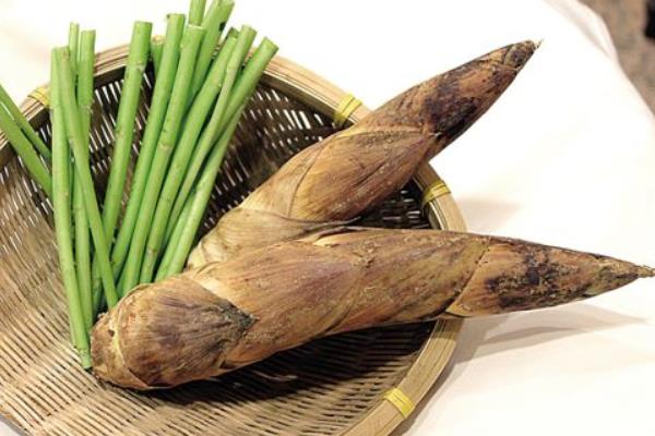 春筍幾月上市 春筍怎么切