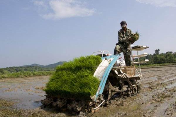 種田大戶的現(xiàn)狀如何 為何無法堅(jiān)持下去 種田大戶說出實(shí)情