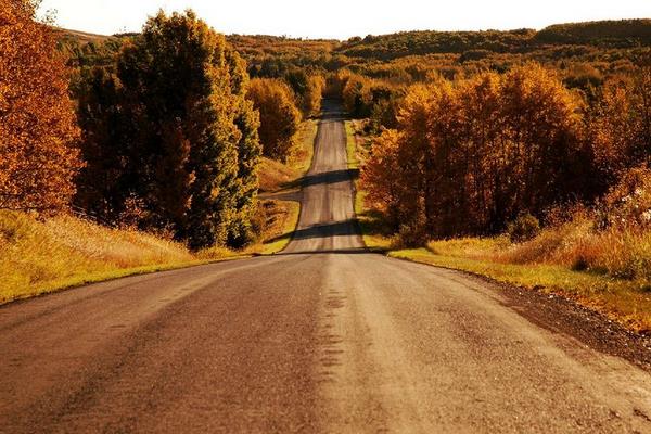 夢見找不到路是什么意思 女人夢到迷路了一直找路有什么預兆