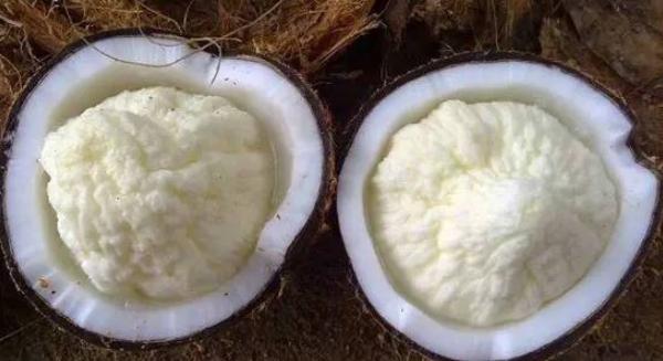 椰子里面有個球是什么 椰子里面有個球能吃嗎