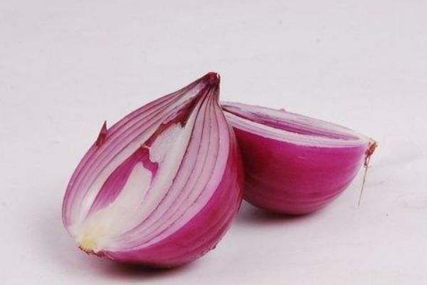 貓能喝羊奶嗎 小狗可以喝羊奶嗎