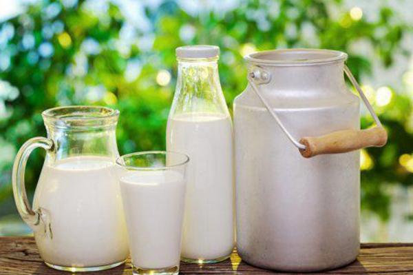 酸奶好還是純牛奶好 牛奶做什么簡單又好吃