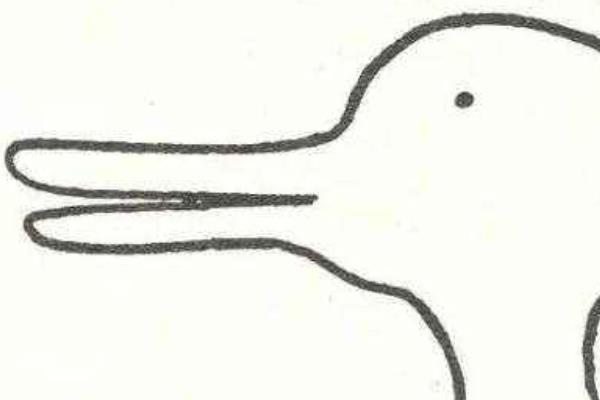 死鴨子嘴硬是什么意思（下一句是什么） 為什么說死鴨子嘴硬