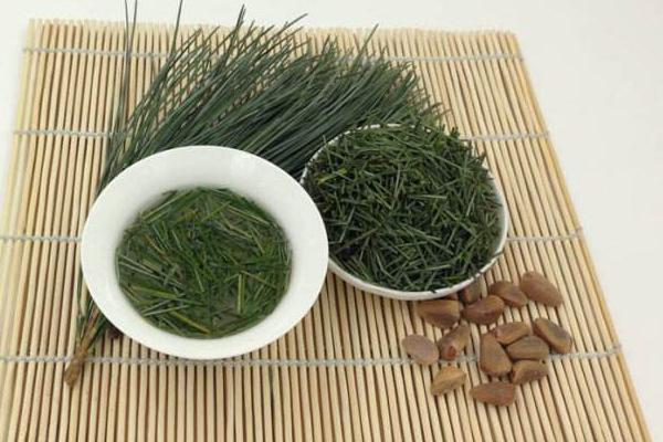 松樹針的功效與作用及禁忌 松樹針的藥用價值