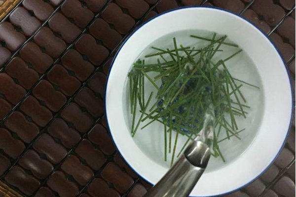 松樹針的功效與作用及禁忌 松樹針的藥用價值