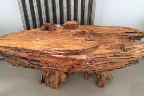 松樹明子的功效與作用 松樹明子對身體有害嗎