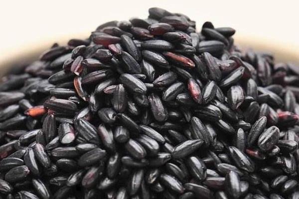 什么人不宜吃黑米 血糖高可以吃黑米嗎