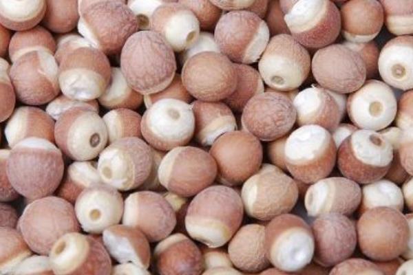 芡實是雞頭米嗎 芡實和雞頭米的區別是什么