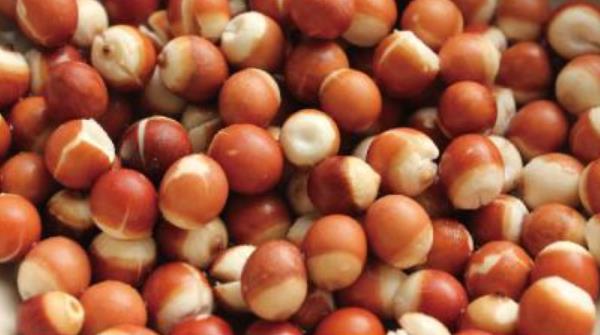 芡實和蓮子的區別是什么 芡實和蓮子能一起煮嗎