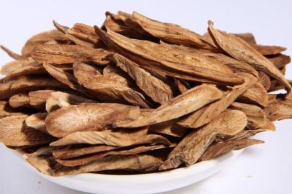 牛蒡的功效與作用及禁忌 牛蒡對男人有什么作用