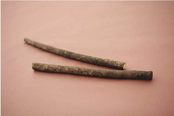 牛蒡的功效與作用及禁忌 牛蒡對男人有什么作用