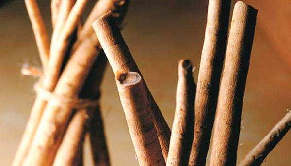 牛蒡是什么東西 牛蒡怎么吃