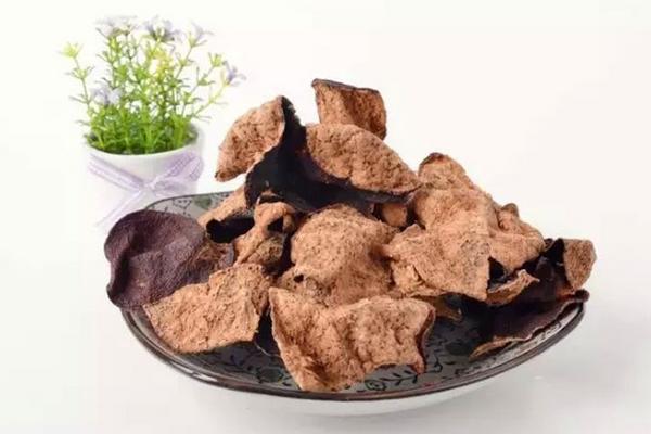 陳皮哪里的最好 陳皮產地在哪里